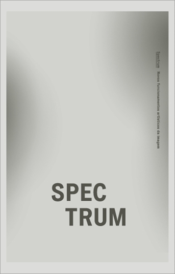 picture of spectrum: novos funcionamentos artísticos na imagem